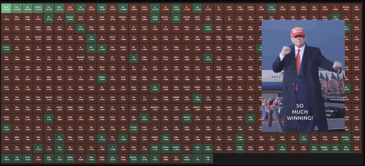 Caris Dave 🔸 Bergg tweet media