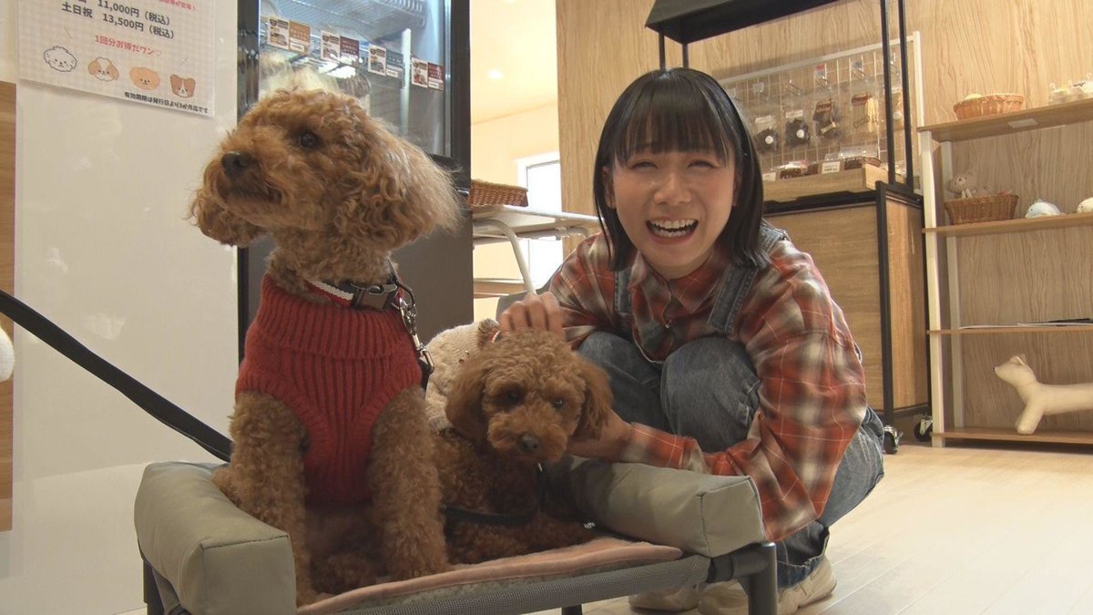 ちかぼん チカコホンマ(チカポン) (@chikako_honma) / Posts / X