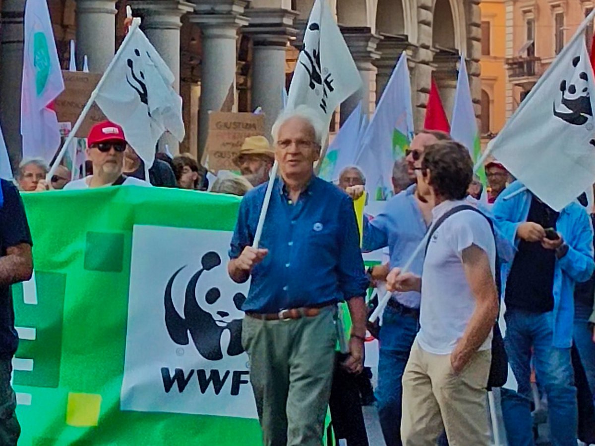 Oggi il nostro pensiero va a Stefano Lenzi, collega e amico che ci ha lasciati un anno fa 💔
Nell'impegno del WWF contro un'opera dannosa per l'ambiente, costosa e inutile come il #PontediMessina  c'è tanto del suo tenace lavoro e della sua competenza per la tutela della natura🐼
