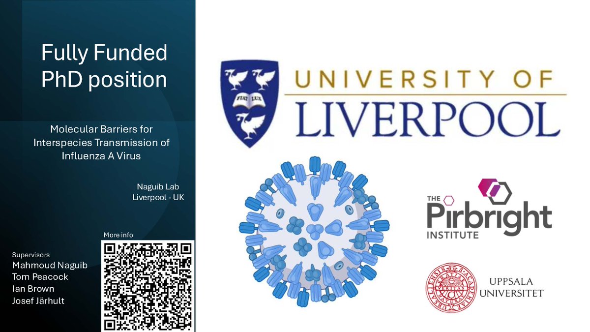 I am looking for a motivated PhD student to join my group at the University of Liverpool to study the interspecies transmission mechanism of avian influenza viruses,  in collaboration with Uppsala University and the Pirbright institute. 
More info 
findaphd.com/phds/project/m…