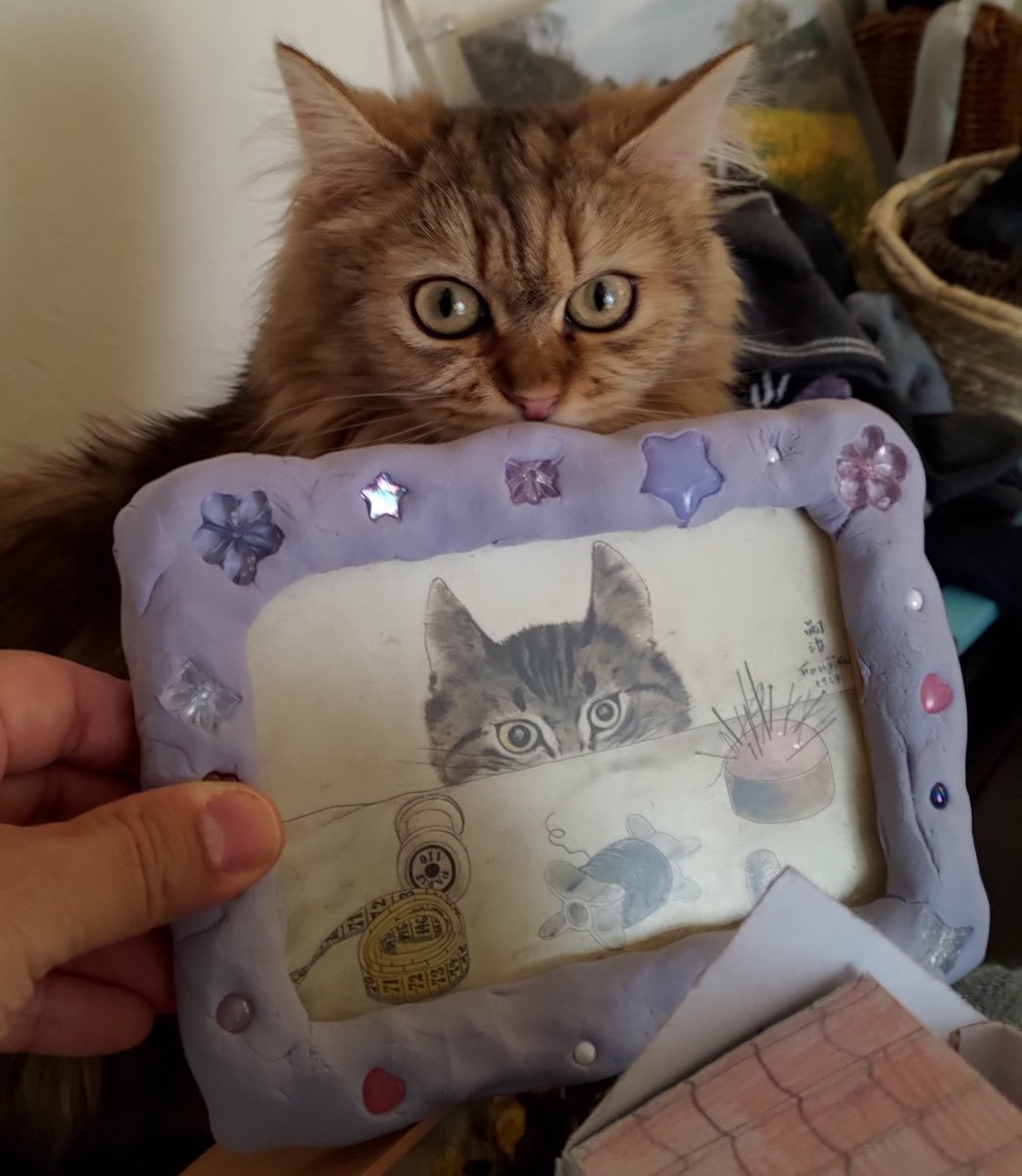 洸村静樹 Seiju Komura on X