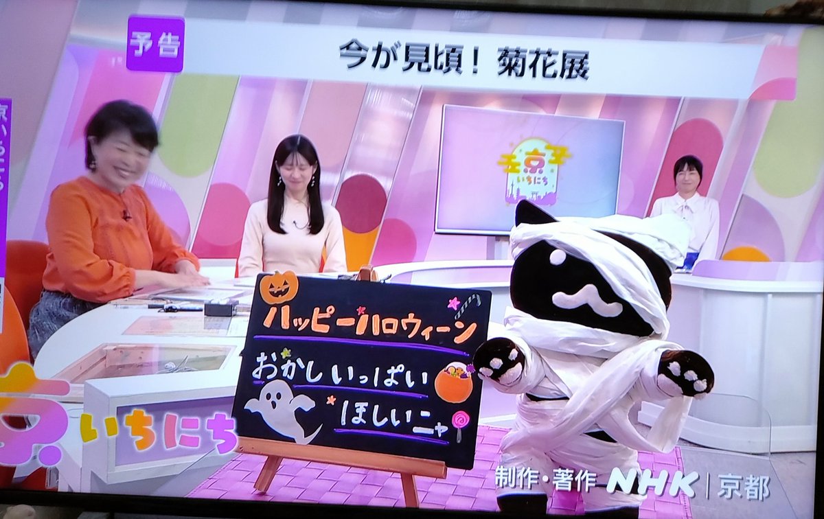 ぽんぽん (@GbMxgEY9wLtiWEa) / Posts / X