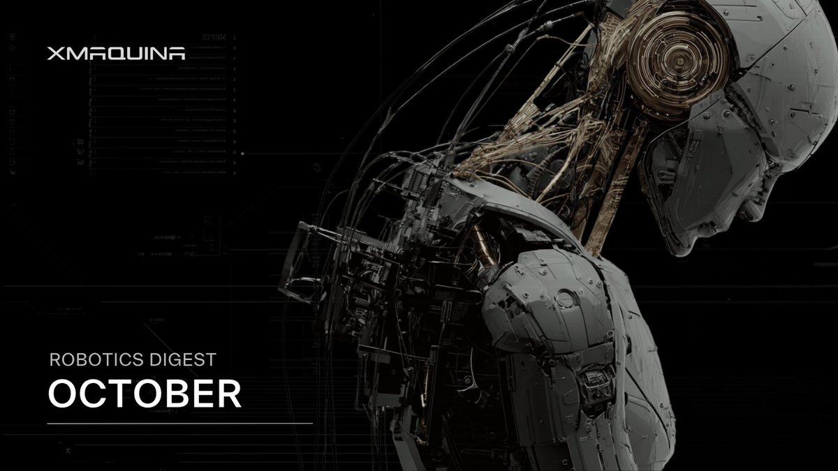 XMAQUINA tweet media