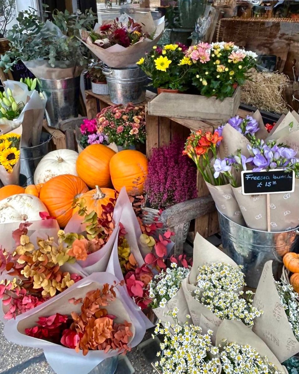 Embrace halloween with a trip to #BayleyAndSage. 🎃

With everything from perfectly round pumpkins to spooky treats - there is something for everyone.