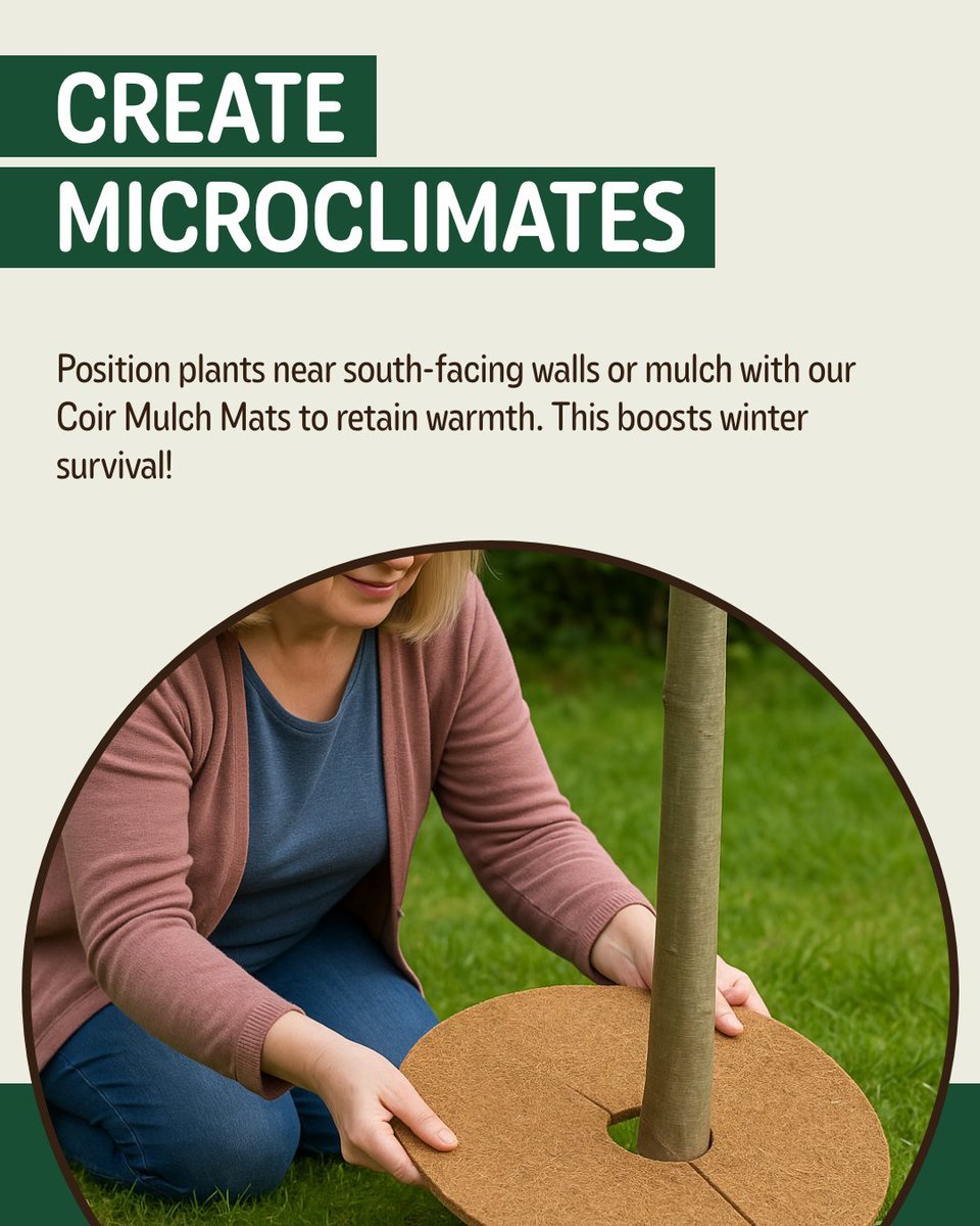 Don’t let winter destroy your garden treasures! ❄️

Our carousel shares eco-friendly tips for overwintering tender plants and supporting wildlife.