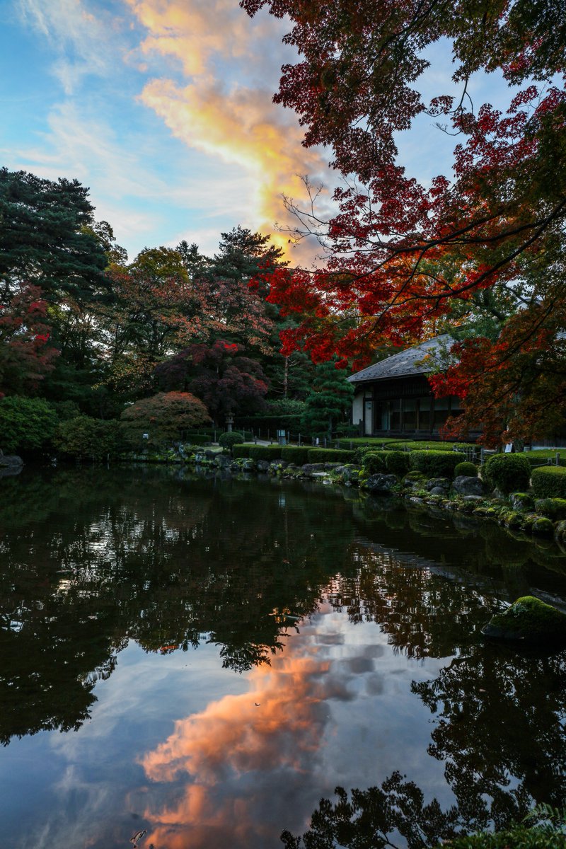 おさかなさん専用ページ おさかなさん on X