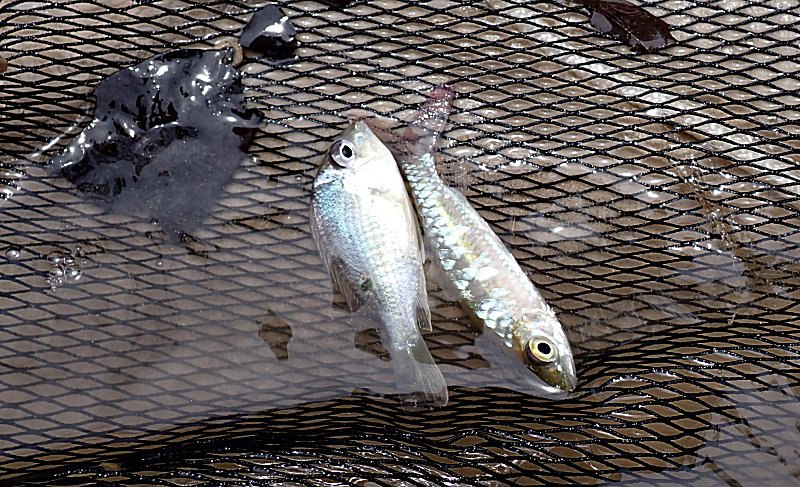 KENZO (@fw_kenzo) / Posts / X