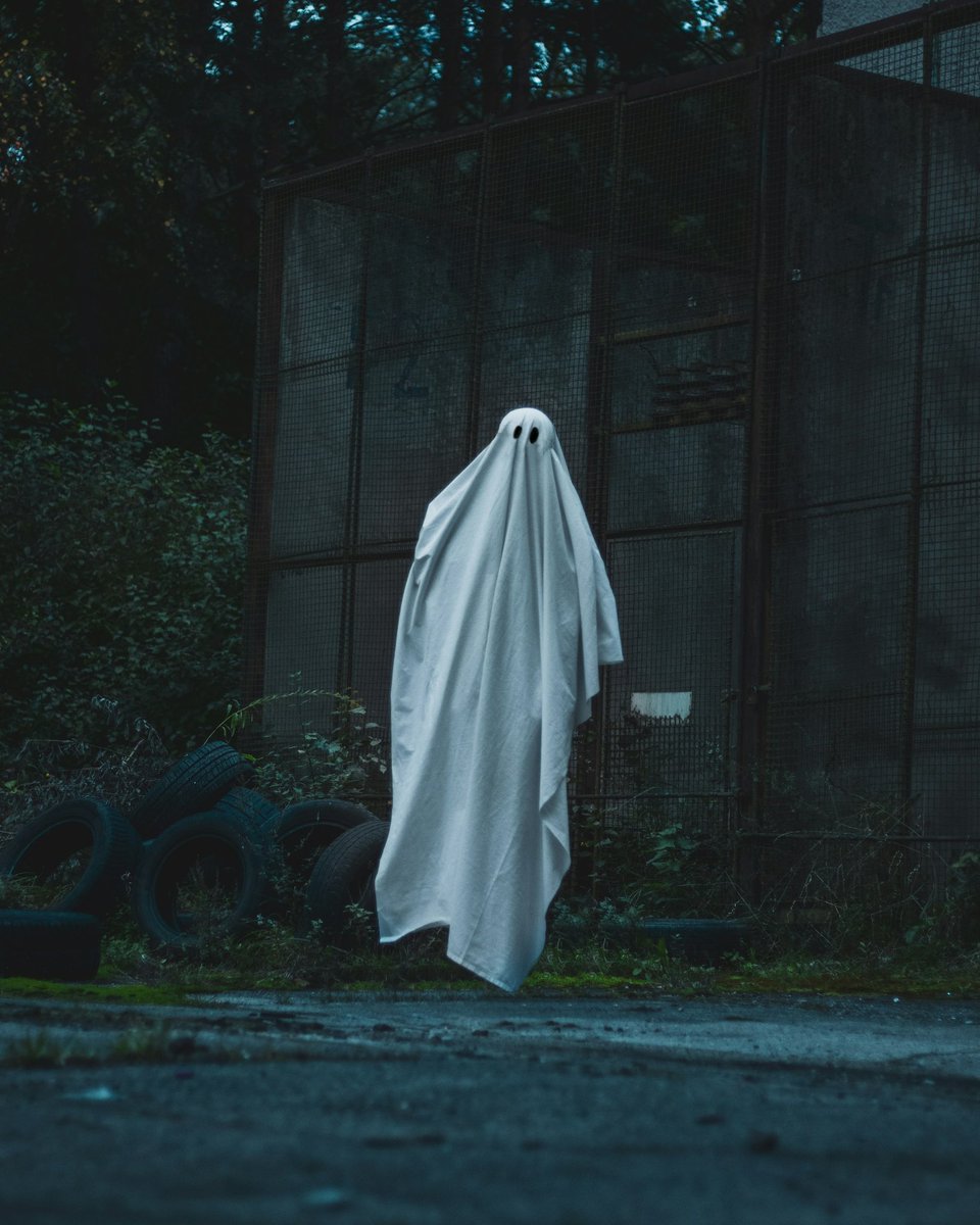 earthcurated's tweet photo. Happy Halloween! 🎃 May your night be filled with spooky thrills, sweet treats, and zero tricks from mischievous ghosts. Stay safe and have a frightfully fun time! 👻 https://t.co/9suNw7Y7I9