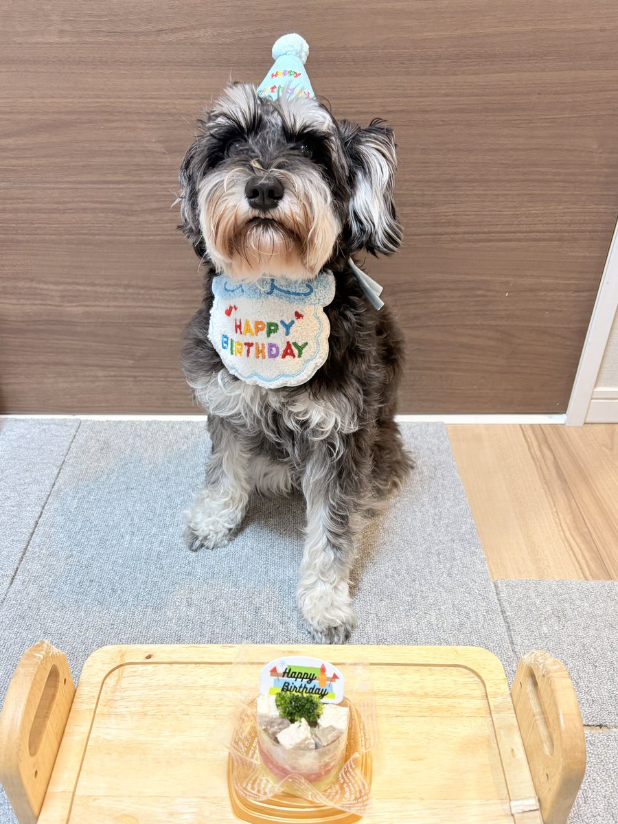 HALO_1031_'s tweet photo. 3歳になりました🥳 https://t.co/QsYJz3TavH