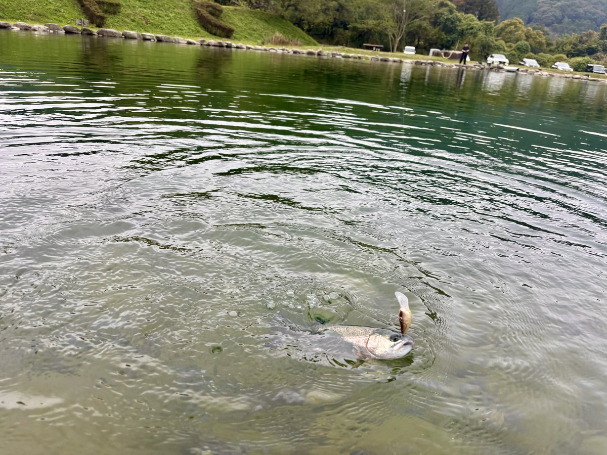 kazumasaono's tweet image. 良い釣行だったなぁー！
#OFC