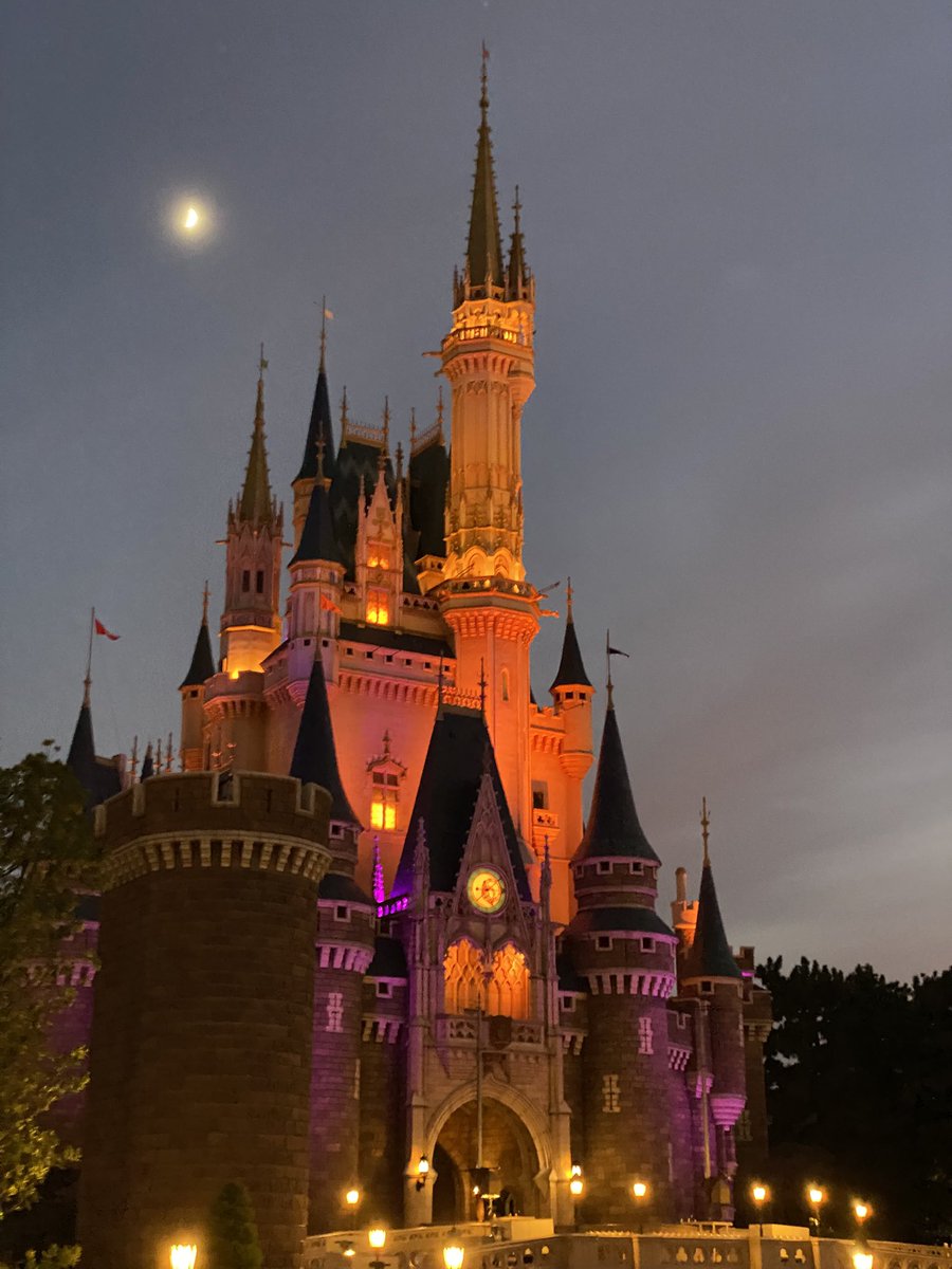 0601_ren's tweet photo. インスタで投稿致しましたが、Xでも一応ご報告🙇‍♂️
先日、Disneylandにてプロポーズ大作戦しました🫡
シンデレラ城の前でしっかり“漢”見せてきました💪
人生で1番緊張したわw
撮ってくれた、どこかのティンカーベルさんありがとうございました🥹
幸せにします！
#ディズニー
#ティンカーベル
#プロポーズ https://t.co/4cWDPAabu4
