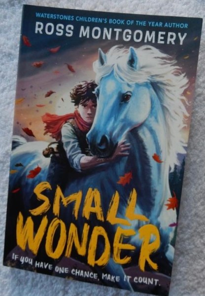 A brilliant adventure story #SmallWonder <a href="/mossmontmomery/">Ross Montgomery</a> <a href="/WalkerBooksUK/">Walker Books</a>  is #RedReadingHub’s #kidlit #fiction book of the day reviewed known the blog wp.me/p11DI5-dwM