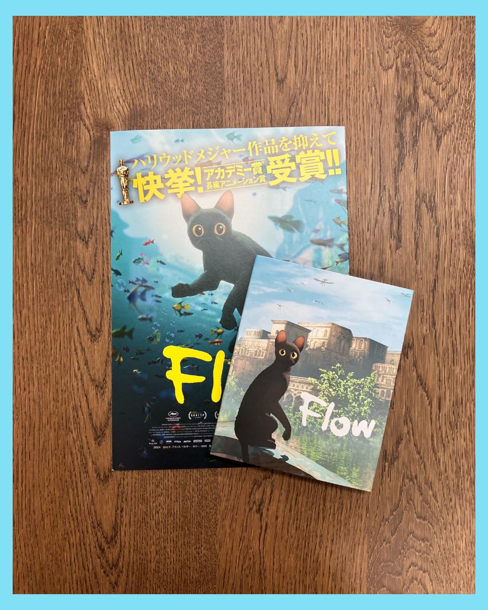 Flow』Blu-ray&DVD📀 いよいよ11/5（水）発売🐈‍⬛🌊 ＼ 初回限定盤Blu