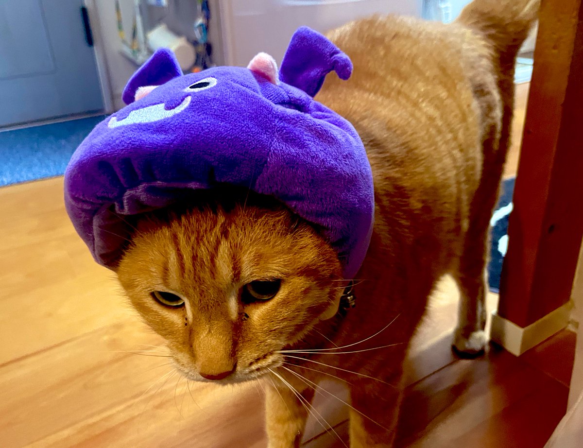 こん🦠 (@konpulse) / Posts / X