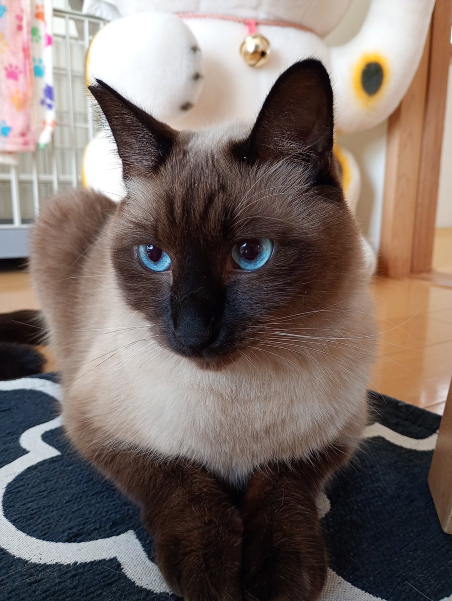 みーこページです♡ ❤️みーこ❤️ on X