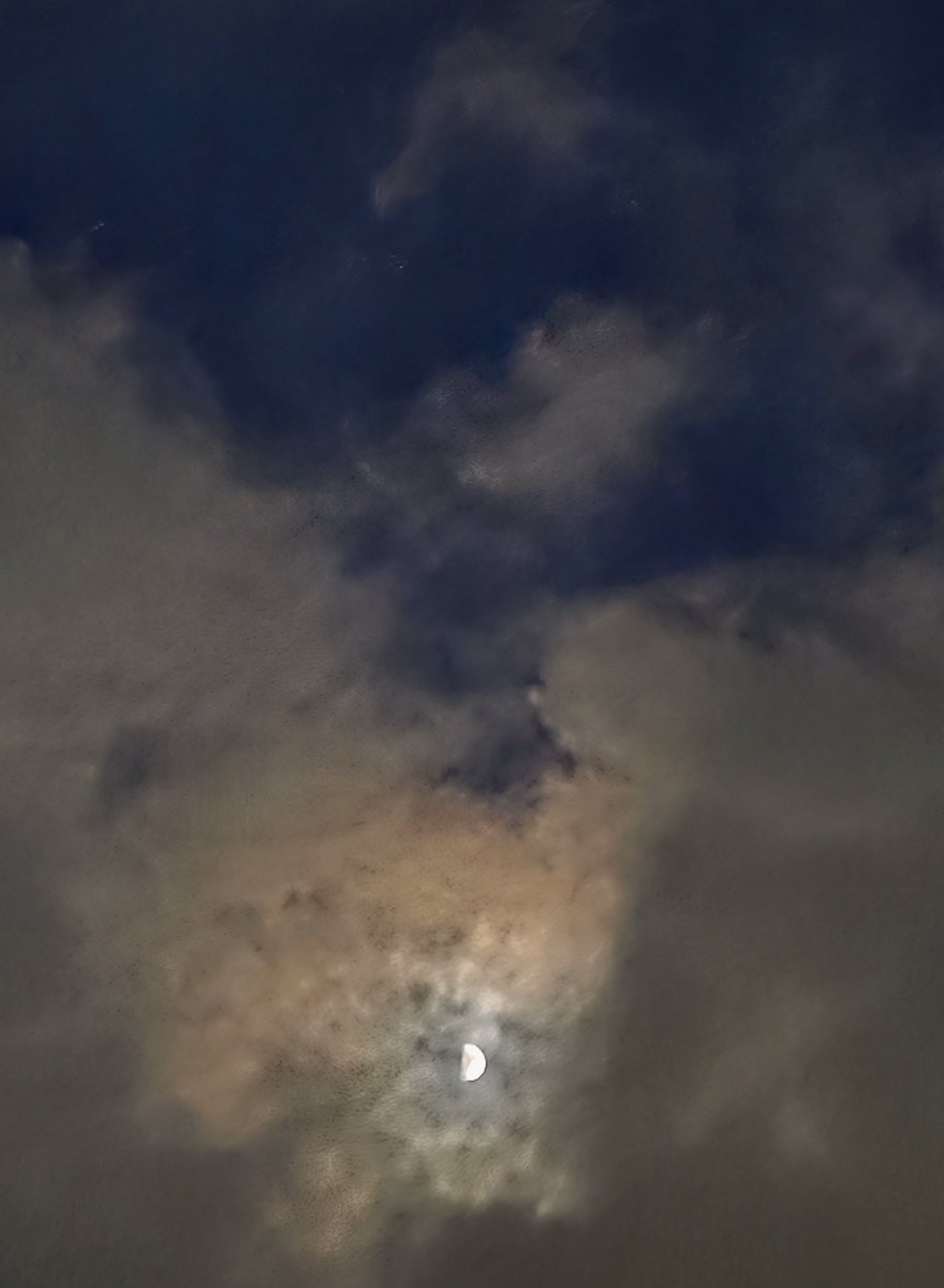 晴（ハ ル） (@_haluta_) on Twitter photo 