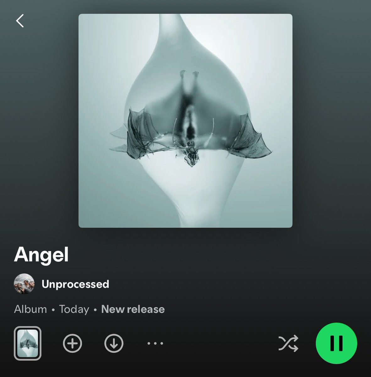 Everybody say “Thank you Unprocessed”