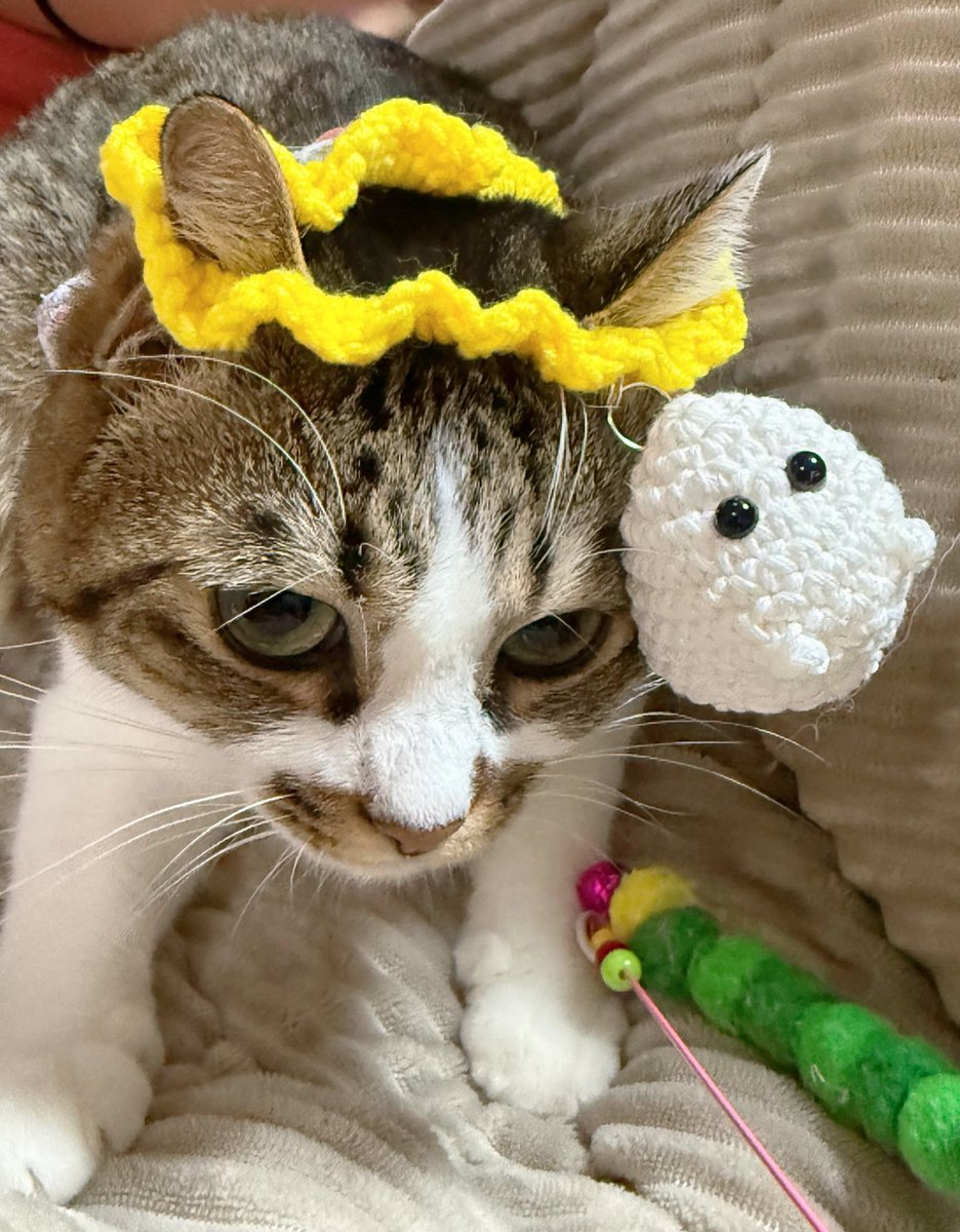 つくきな❤︎ココテテ🐈‍⬛⸒⸒⸒⸒🐾 (@tsukukina971) / Posts / X