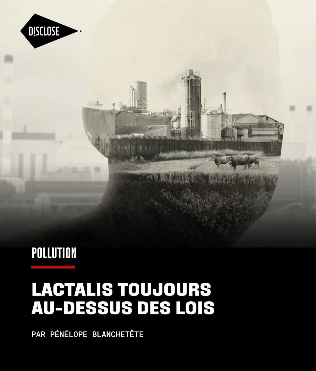 🔴 Le système Lactalis n'a pas changé 

Cinq ans après notre enquête sur les rejets toxiques des usines #lactalis dans les cours d’eau français, <a href="/Disclose_ngo/">Disclose</a> révèle que sur 38 sites épinglées à l’époque, 13 dépassent toujours les limites de pollution autorisées par la loi