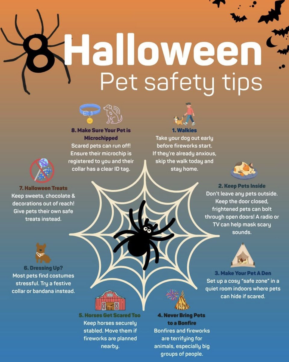 DublinSPCA's tweet photo. Happy Halloween🎃

Keep your furry ( and not-so-furry) friends calm + safe tonight. Follow these tips to make sure everyone enjoys a spook-free Halloween 🐾

NSPCA: Two animal welfare charities, DSPCA + ISPCA, coming together creating one national voice for animals. 
#Halloween https://t.co/DWdlA1D3Ov