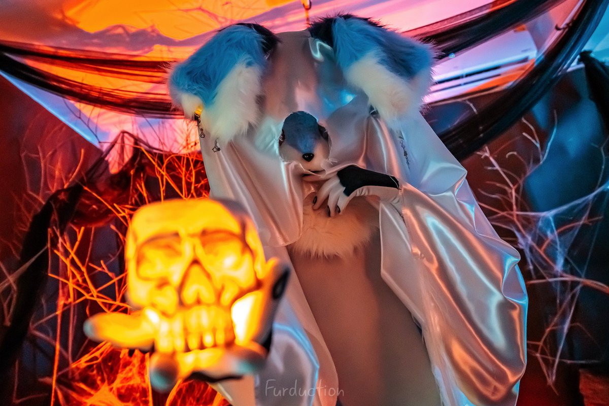 Foxy DREAM tweet media