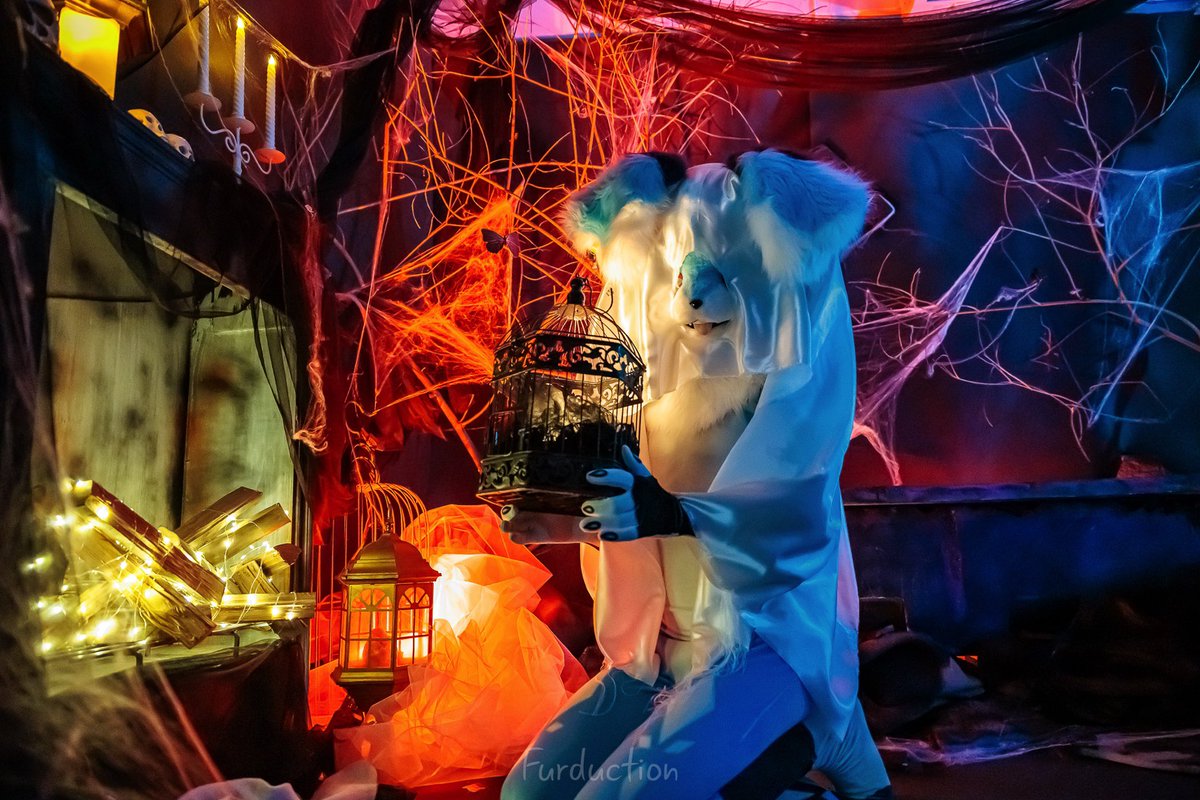 Foxy DREAM tweet media