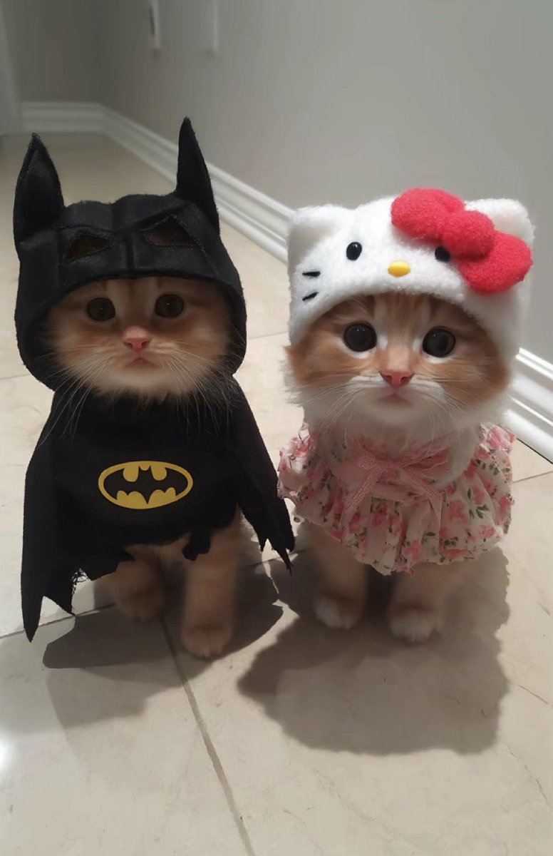 Us this Halloween 🎃