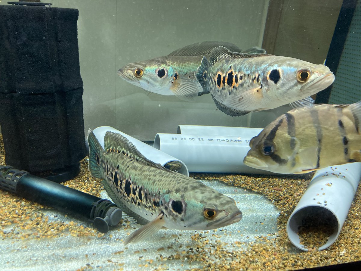 totomonページ 分解図情報 | TOTO:COM-ET [コメット] 建築専門家向けサイト