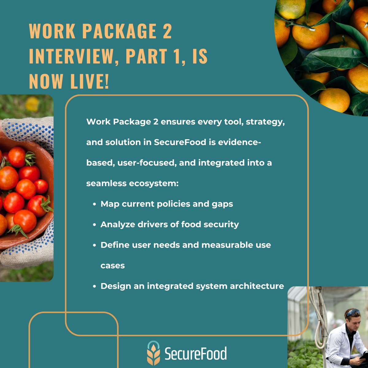 🆕 On the SecureFood blog:

Work Package 2 Interview – The Analytical Backbone of SecureFood (Part 1)

Partners from Galanakis Labs, EMPRACTIS &amp; ICCS explain how WP2 lays the foundation of our project.

Read more 👉 secure-food.eu/2025/10/31/sec…