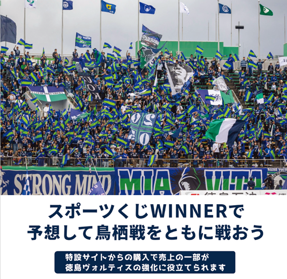 徳島ヴォルティス　J1昇格&J2優勝に向けて応援セット 徳島ヴォルティス J1昇格&J2優勝に向けて応援セット グッズ】J1昇格を