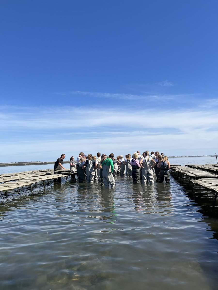Al generaties lang bepalen wind, getij &amp; visvangst 't leven van vele huishoudens. Lees 't verhaal van Carolein van de Plasse van Delta Mossel, Markus Wijkhuis van De Oestervisser en mosselkweker Cees Otte in ons gratis magazine IN ZEELAND. Abonneer je via zeeland.nl/inzeeland.