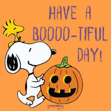 CoachJoeSnowden tweet media