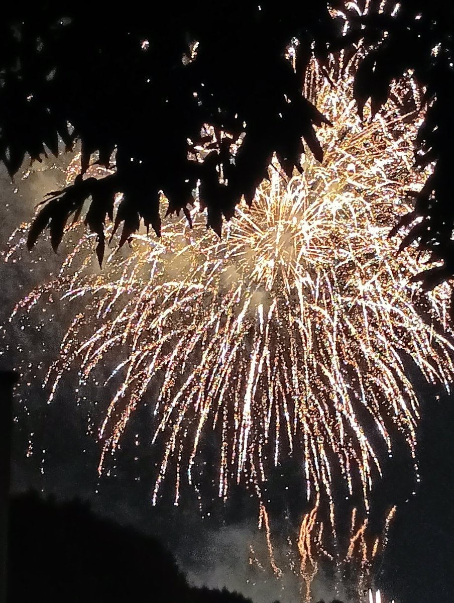 Ｘ(旧Twitter)界の皆様、こんばんは🌃
いい一日でしたか？
また明日^^
#花火のある風景