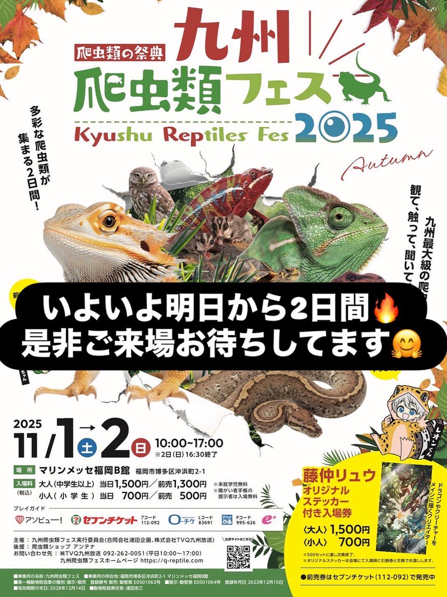 爬虫類フェス（九レプ、広レプ） tweet media