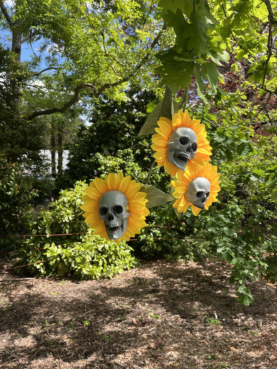 Neighbourhood spooks.