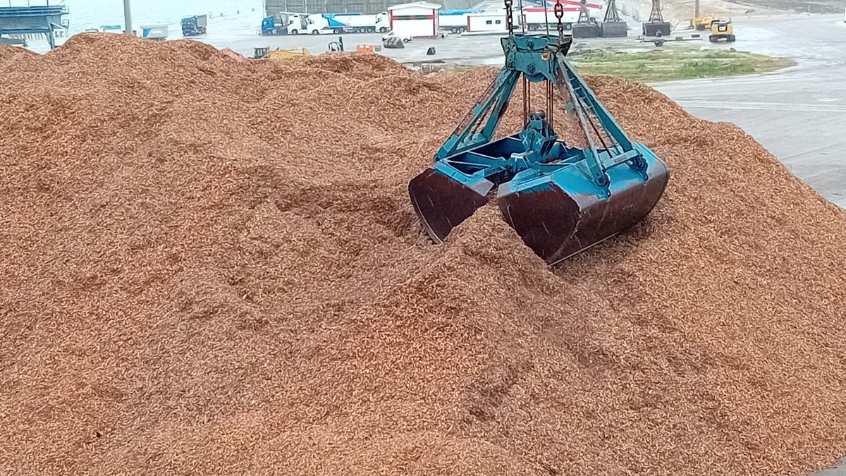 Impulsamos la economía circular 💪

La biomasa permite transformar residuos agrícolas y forestales en energía útil. Pero su potencial va mucho más allá: abre la puerta a un modelo de economía circular que aprovecha lo que antes se descartaba y genera valor añadido en origen. ⚡