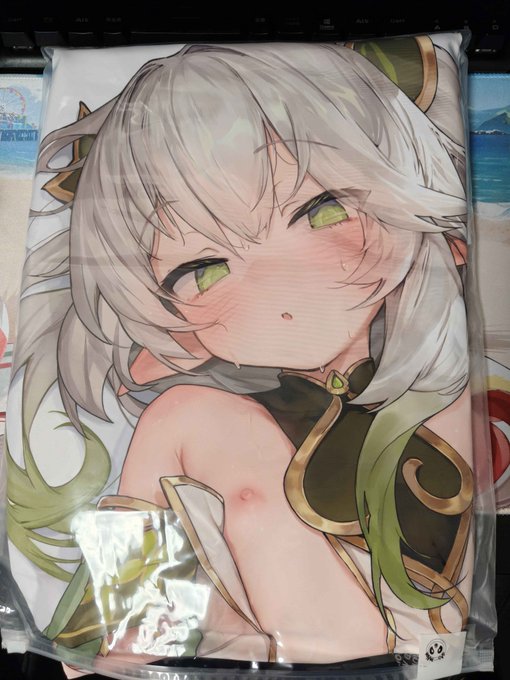 抱き枕カバー届いたぁ!今日はこれを使う 