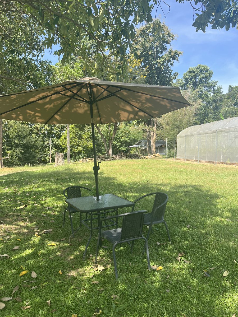 女忍者さや𓇳 𓇼 on X