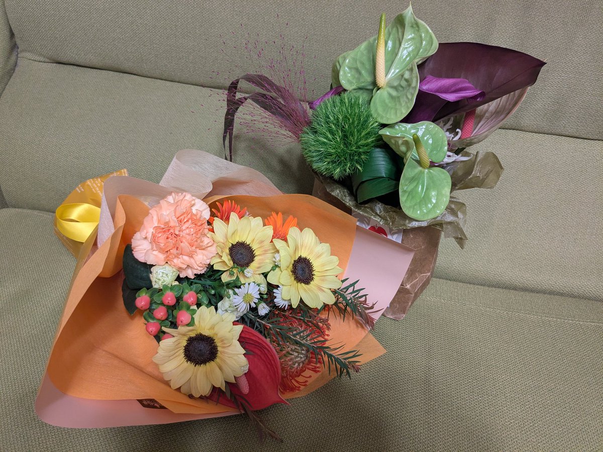 shioooooo22's tweet photo. 約3年間勤めた職場を無事に退職しました💐
最後まで走り回って日常って感じがわたしらしかったかも😂
病院から保育園に仕事が替わって毎日こどもからもらう刺激が新鮮で楽しくお仕事できました🫶
明日からまた新しい職場かつ新しい業界になるけど無理せずやっていくぞ！ https://t.co/pQ7igA4nJZ
