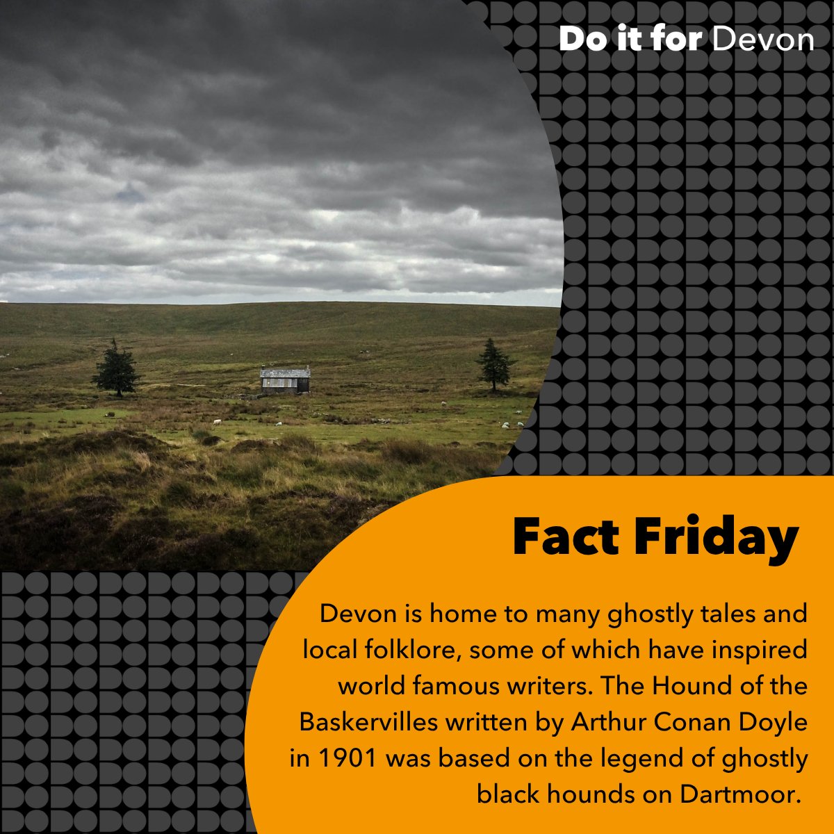 Devon Jobs tweet media