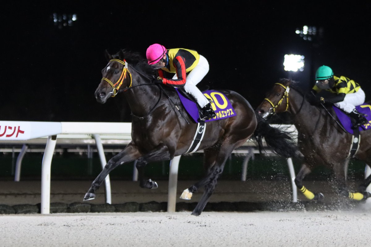 がんばれ！ホッカイドウ競馬 on X