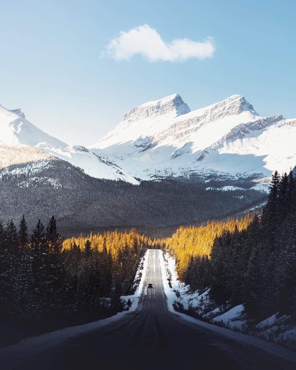 earthcurated's tweet image. Fall snowfall in Canada 🍁 ❄️