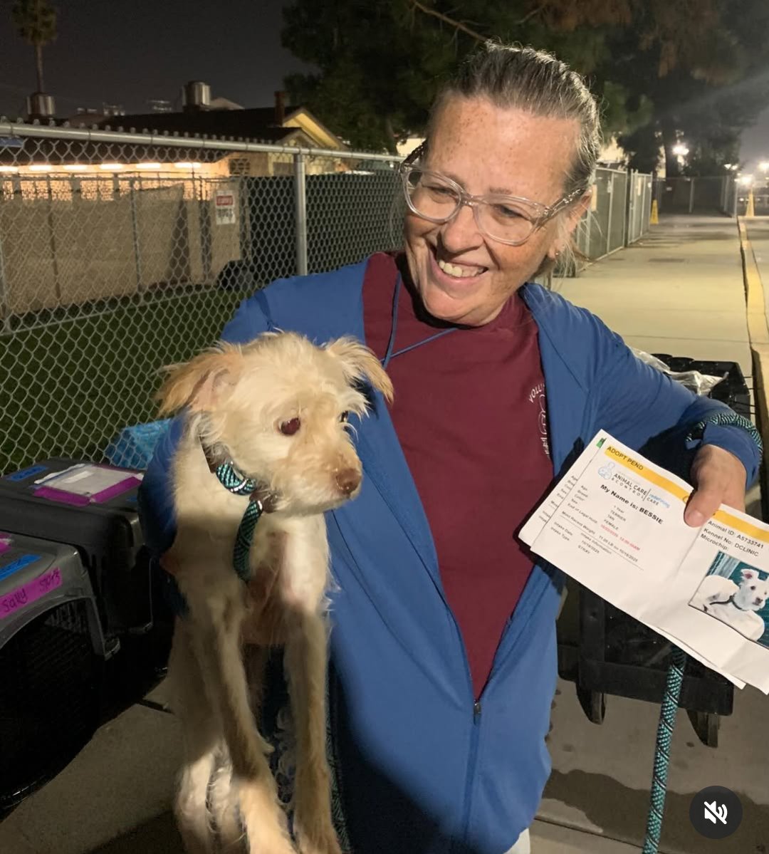 mapleveewesem's tweet photo. It took CAROL #A5726433 8 days to leave Downey after her hold - she was one of the first dogs selected for out or state transfer.
21 dogs &amp; 4 cats left for points up north. Sadly, we don't know where she is to continue following her. https://t.co/HM4jSaQeoT