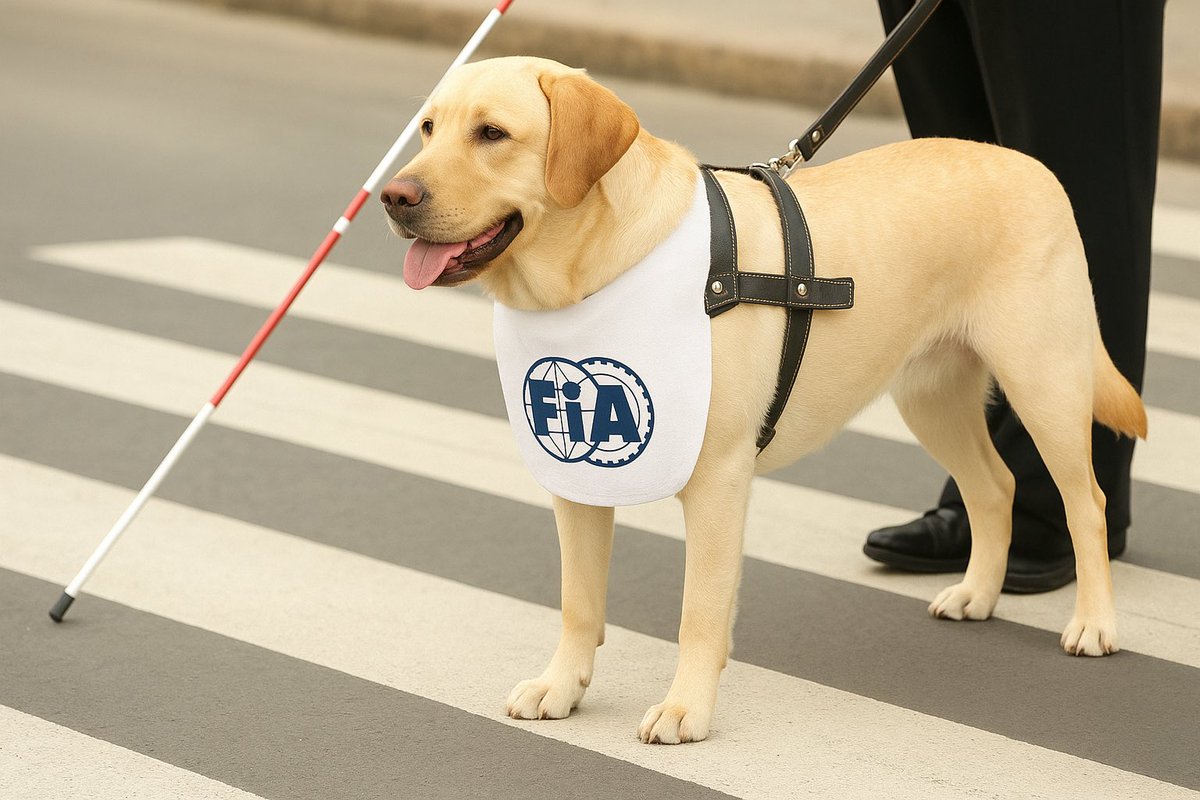 BREAKING: The <a href="/fia/">FIA</a> will now allow their stewards to bring their guide dogs to F1 events for the first time, effective from the Brazilian Grand Prix.