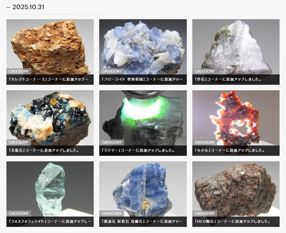 標本 ✨ミルビリリー隕石