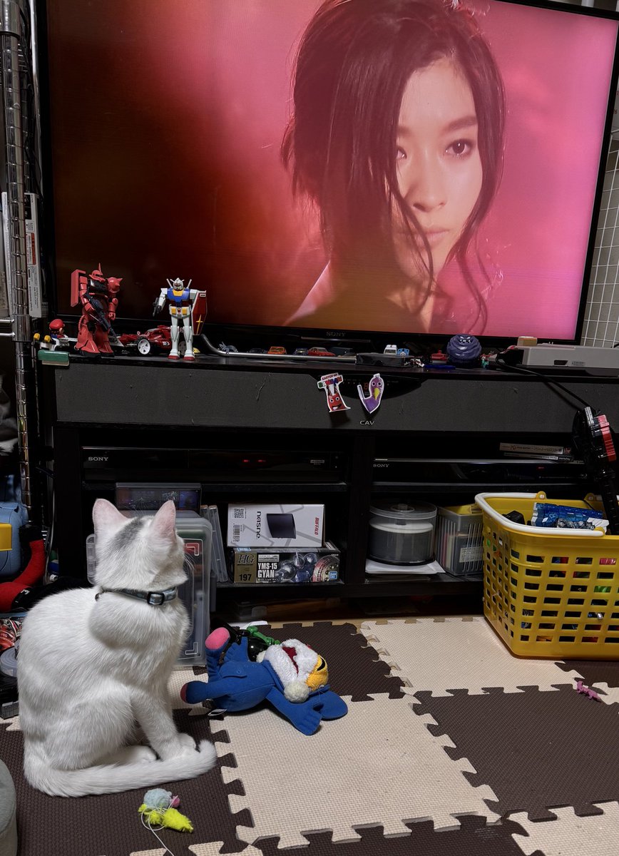 イゴール・オジチャンチン on X