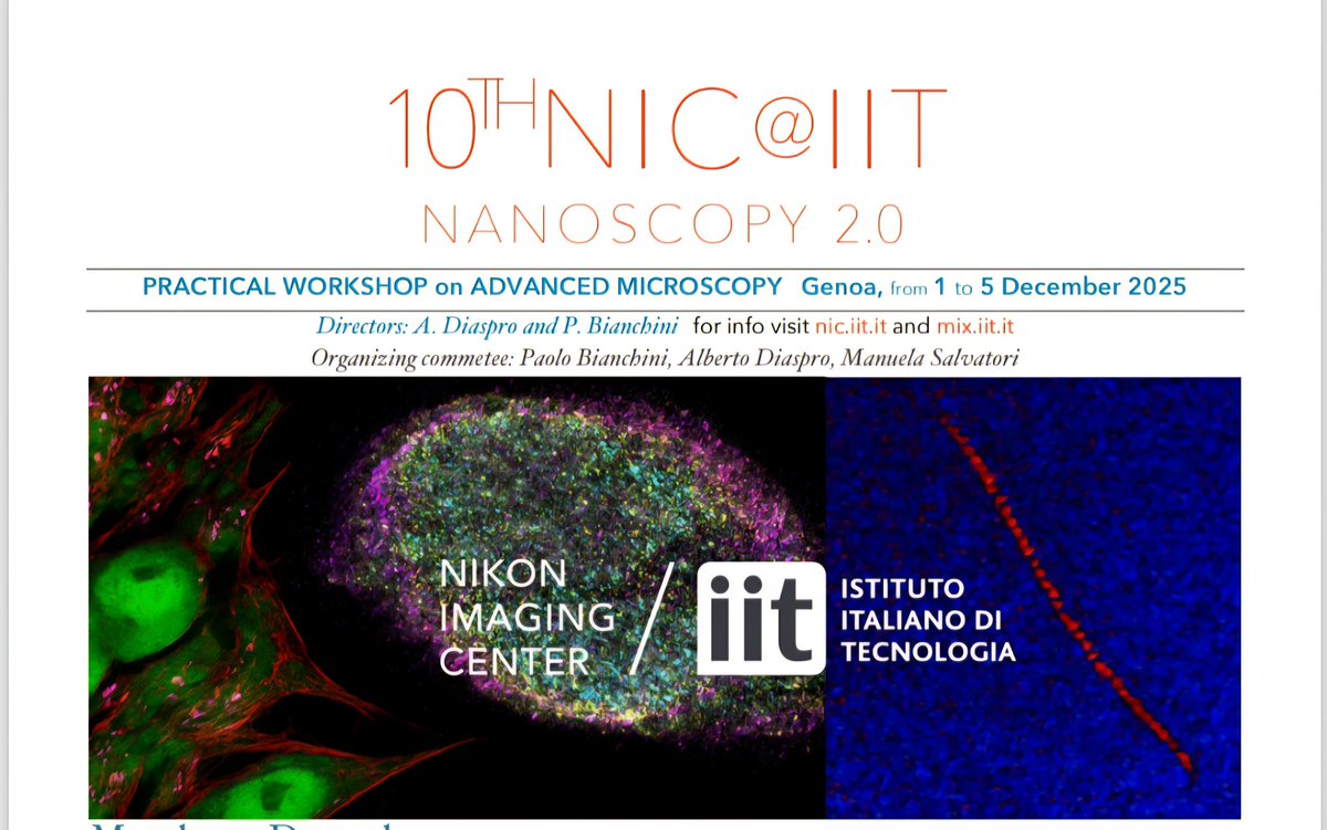 SIBPA (SocietàItalianaBiofisicaPuraApplicata) tweet media
