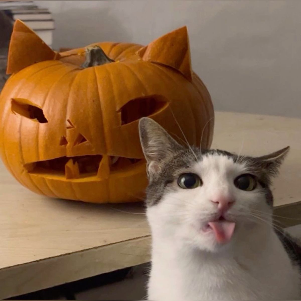 I wanted to go out on Halloween😭but I just had some candy. So forget it. Happy Halloween🎃🎃‼️