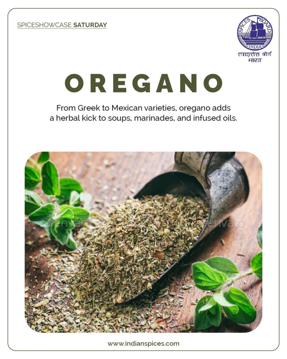 Spices_Board's tweet image. Whether fresh or dried, oregano’s bold aroma and versatility make it a kitchen essential across cuisines.
@DoC_GoI  #OreganoVarieties #HerbalAroma #KitchenEssentials #SpicesBoard
