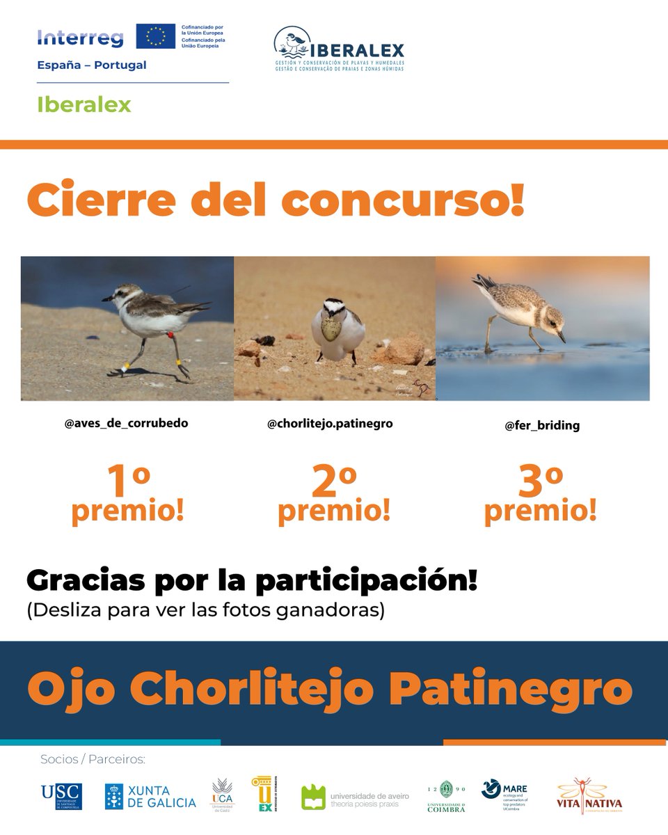Iberalex_Poctep's tweet photo. ¡Ya tenemos ganadores del #ConcursoFotográfico IBERALEX!🏆
 🥇 @aves_de_corrubedo
 🥈 @chorlitejo.patinegro
 🥉 @fer_briding
Gracias por tanta participación y por mostrar la belleza del Chorlitejo Patinegro🐦
 📩 Contactaremos con los ganadores para enviar sus premios esta semana https://t.co/XNkW6SJu4y
